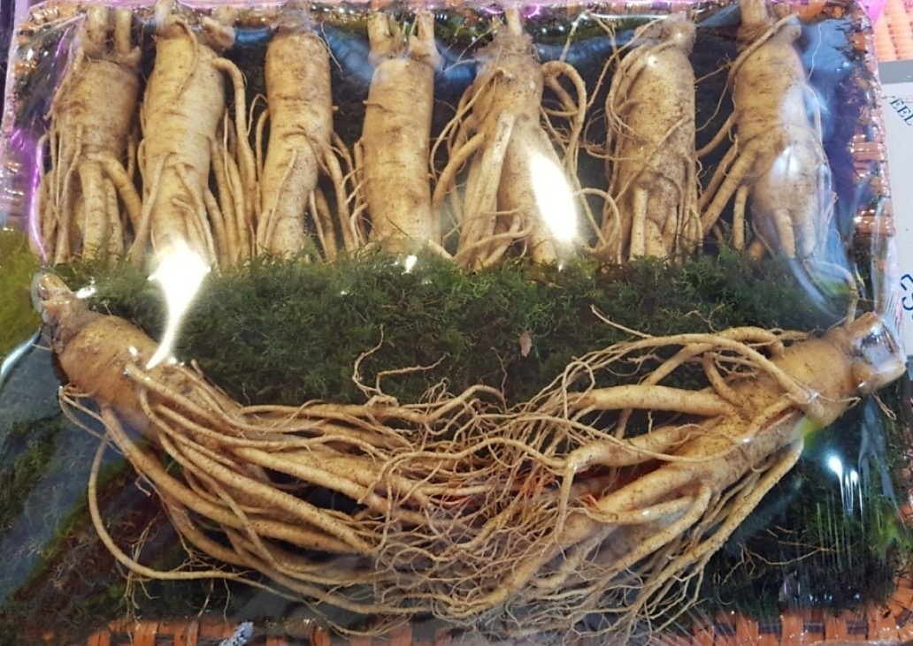 김가네 인삼농장 picture 1