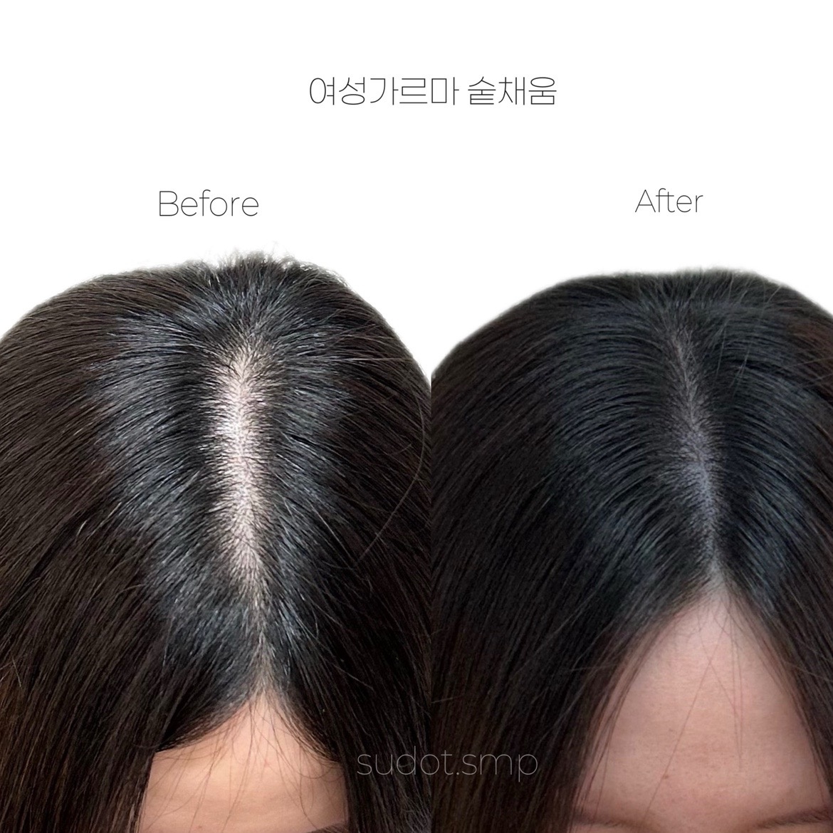 수 스튜디오 picture 0