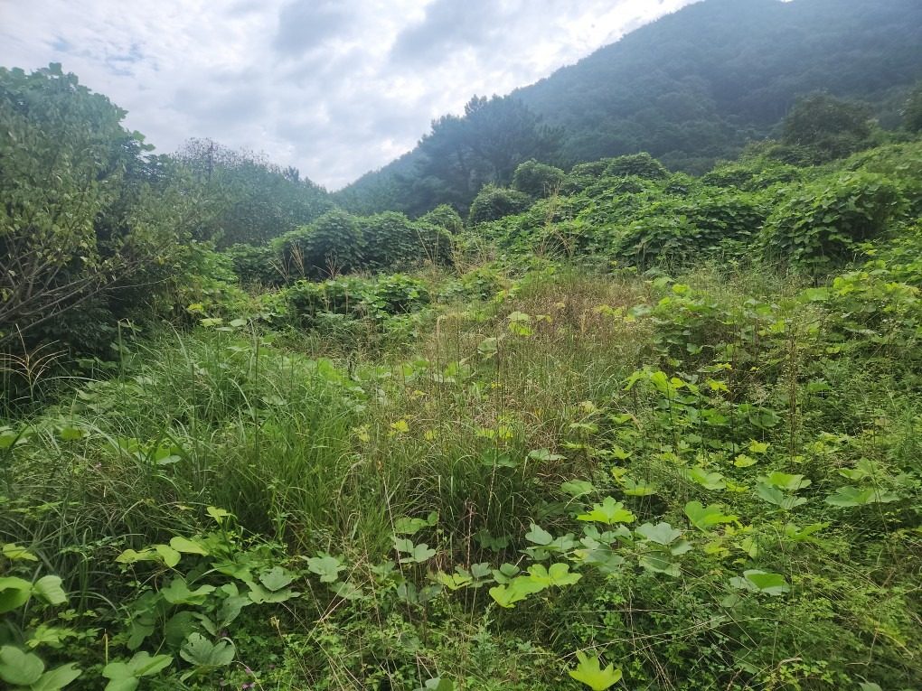 마산 내서 신감리 작업