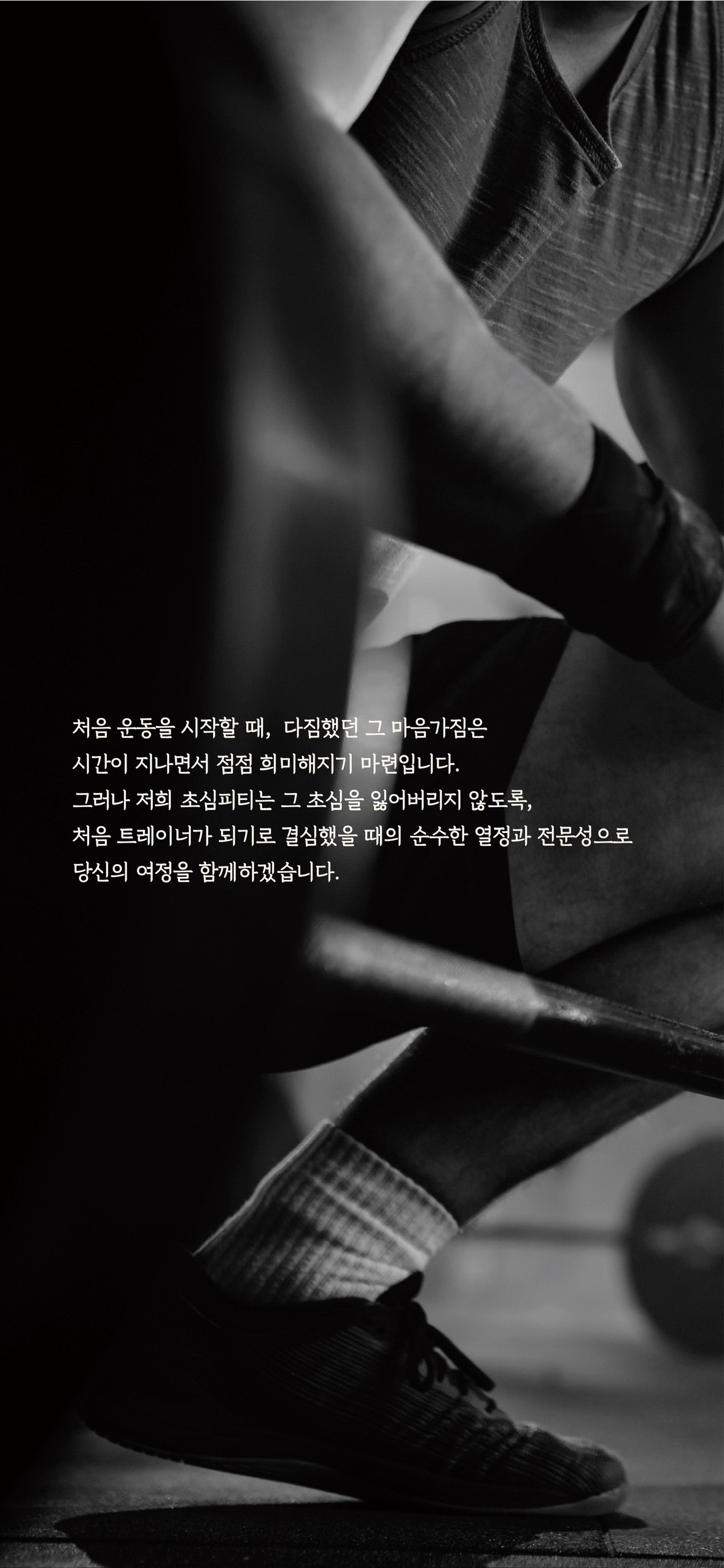 초심피티 picture 5