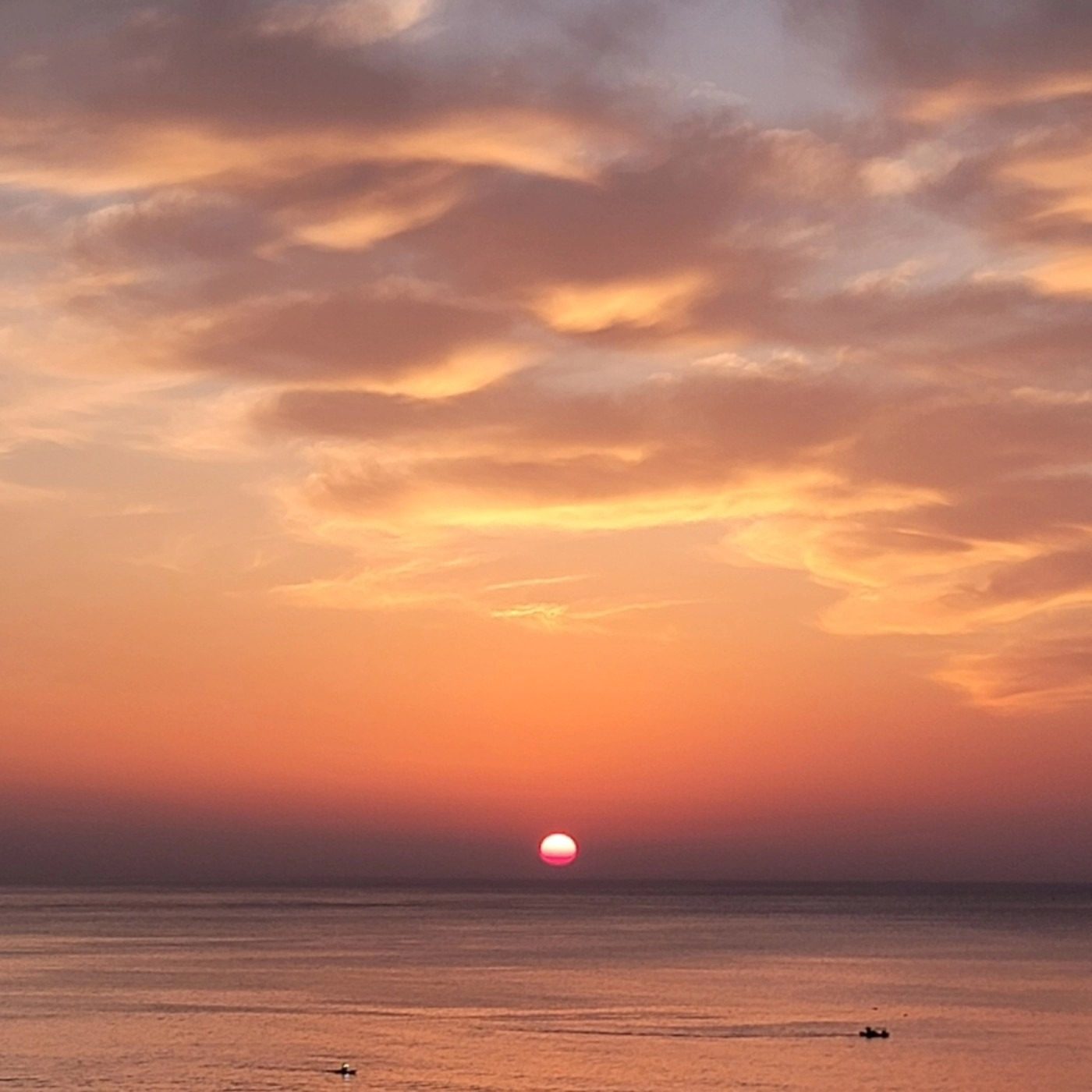 새해 복 많이 받으십시요 ❤️싸다아구찜 올림