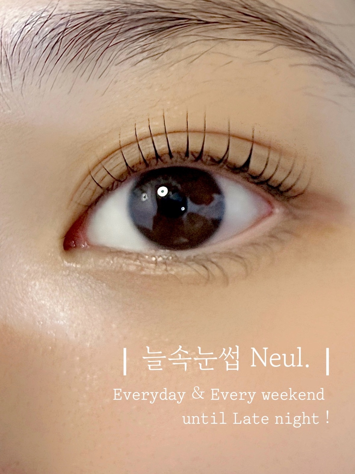 늘속눈썹 Neul. picture 0