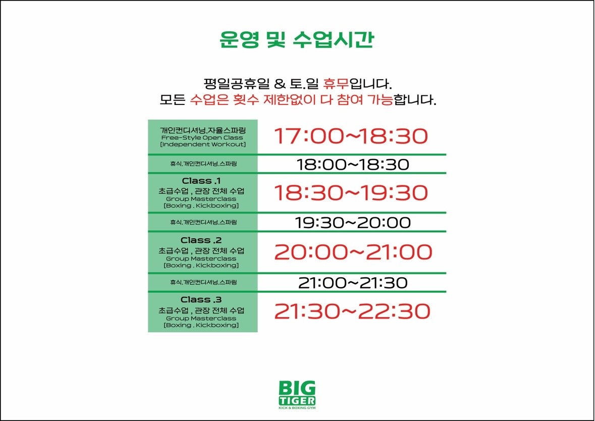 빅타이거짐 picture 4
