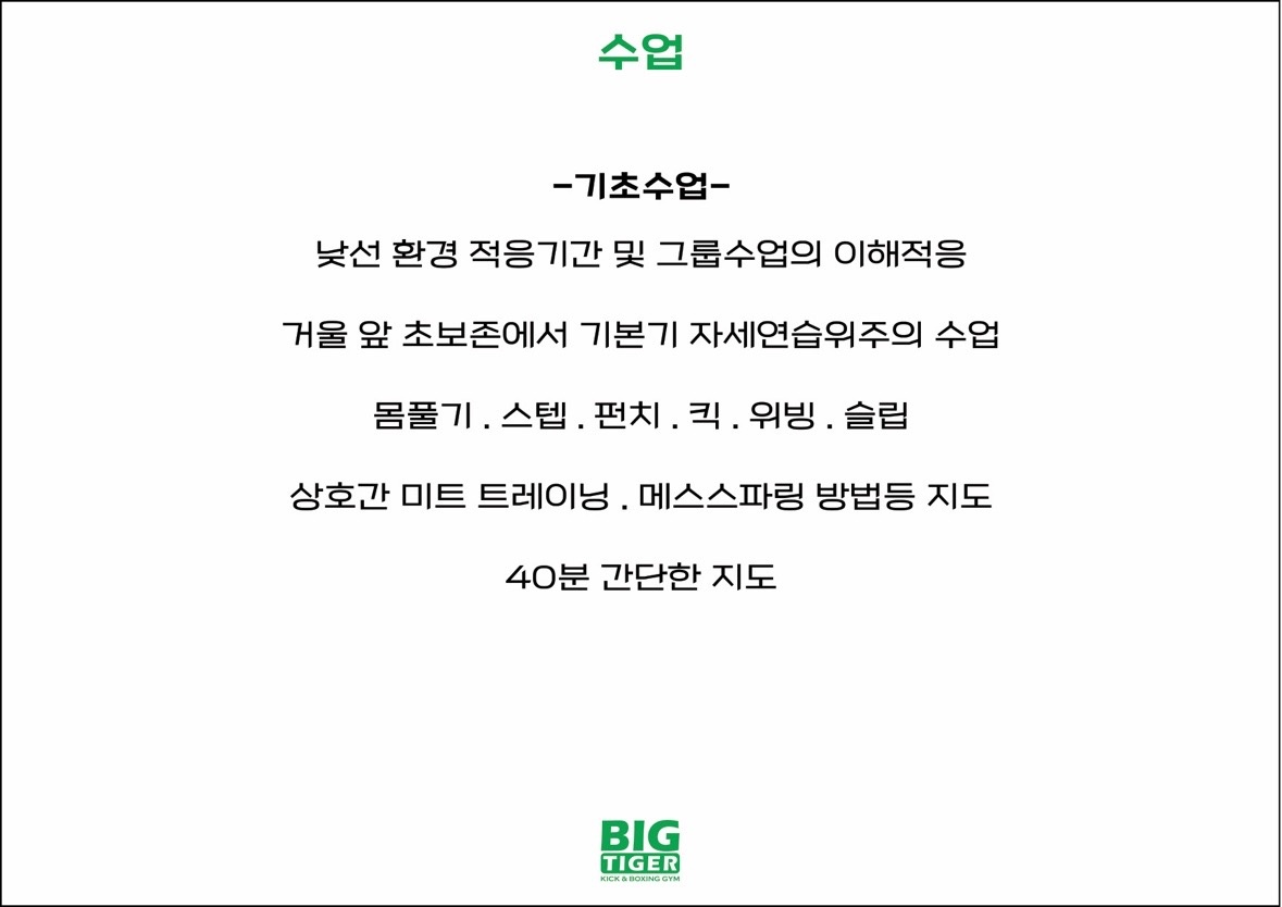 빅타이거짐 picture 5