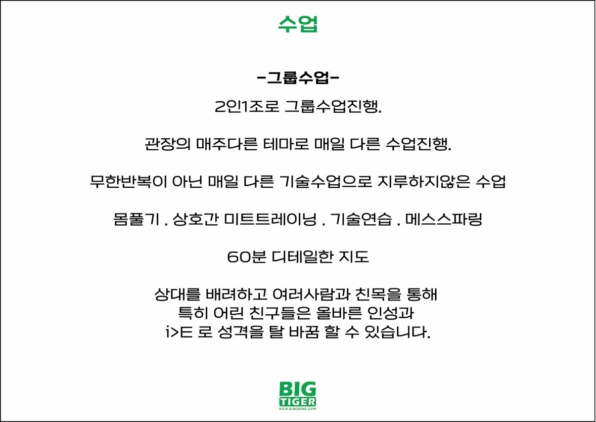 빅타이거짐 picture 6