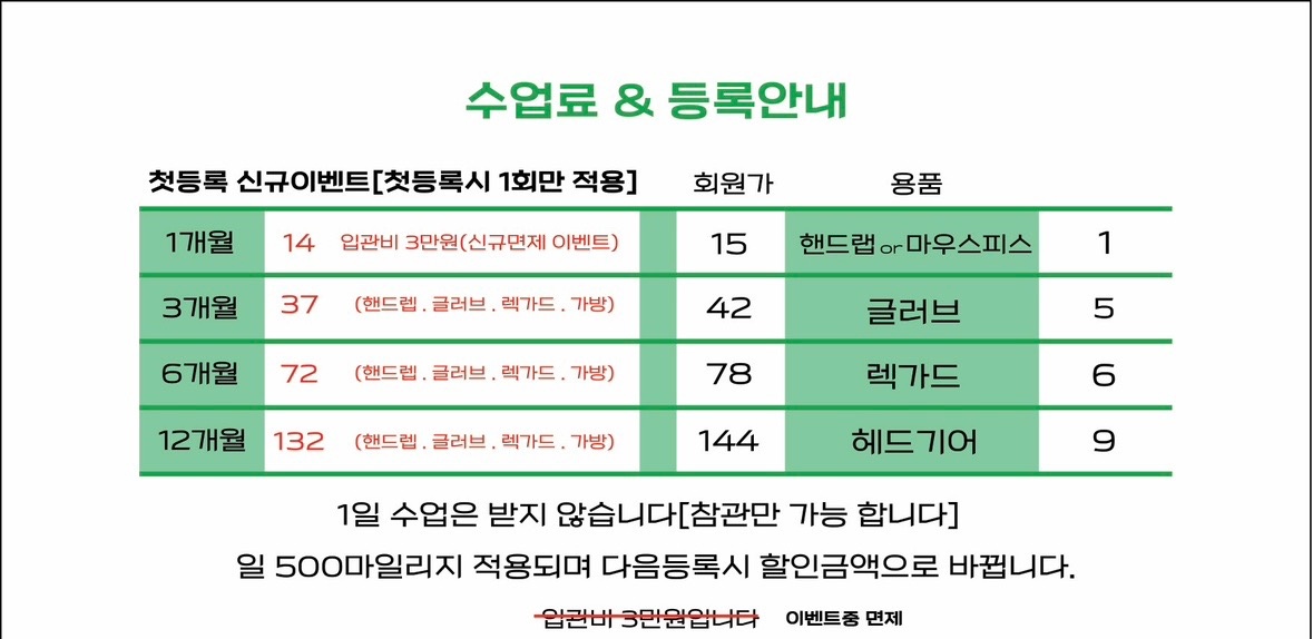 빅타이거짐 picture 8