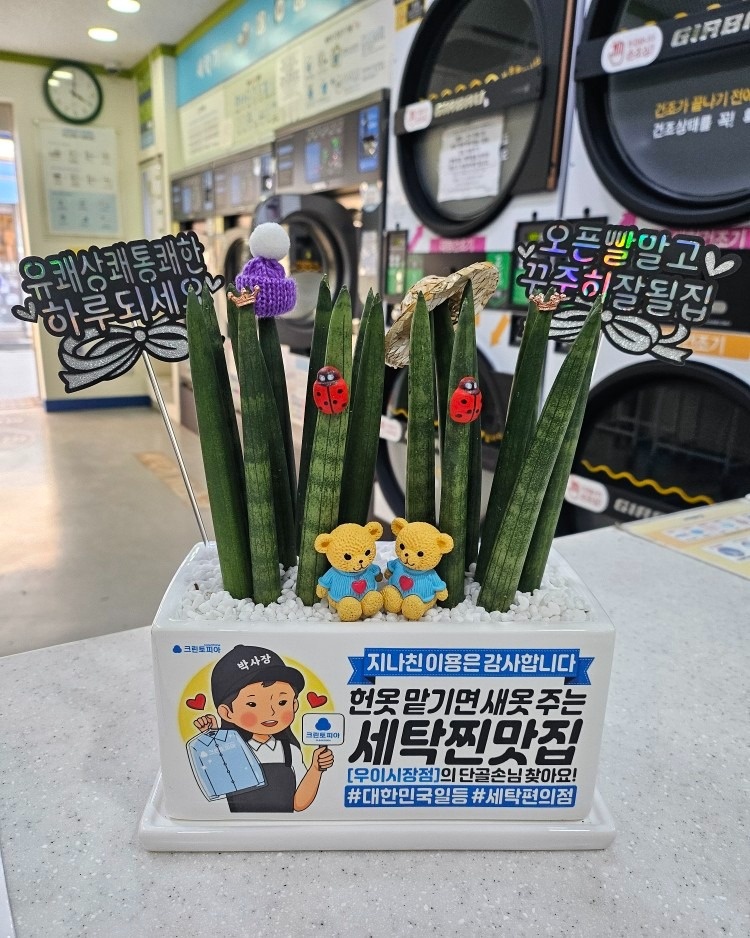 크린토피아 코인워시 강북우이시장점 picture 2