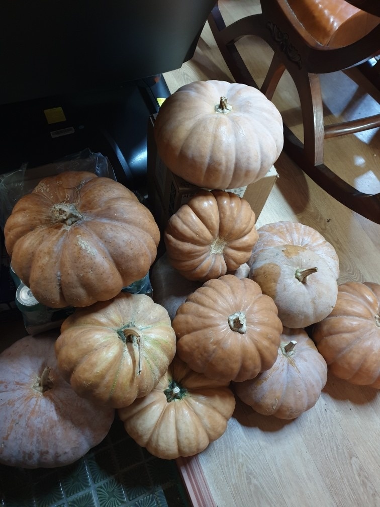 할매농원 picture 6