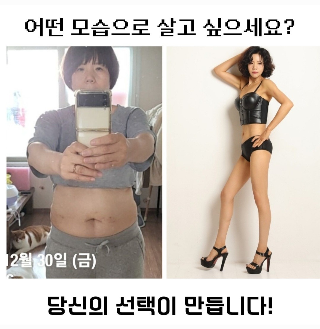 드림핏점핑클럽 picture 3