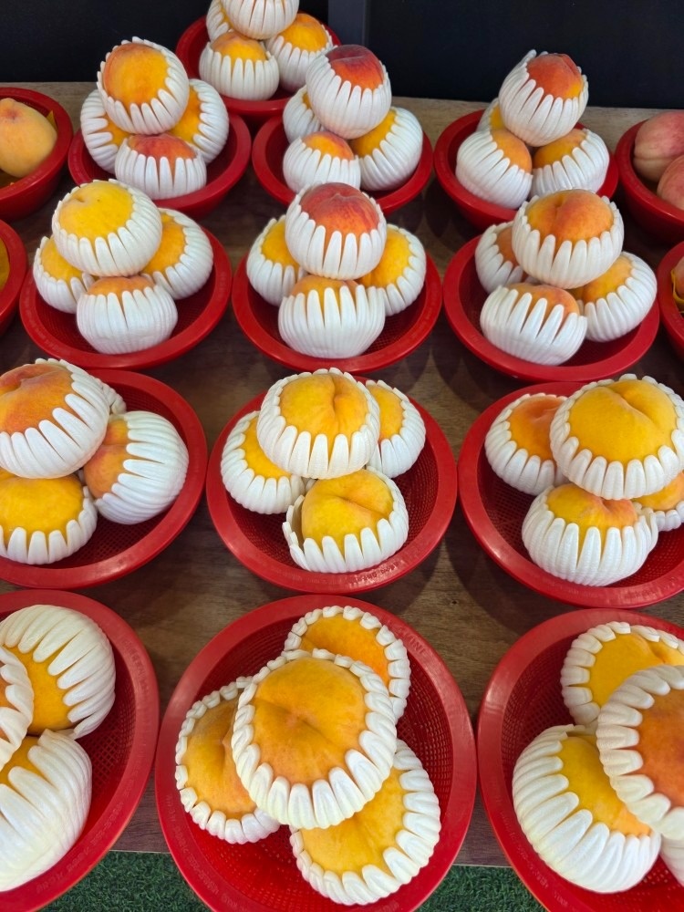 서린이네 picture 3