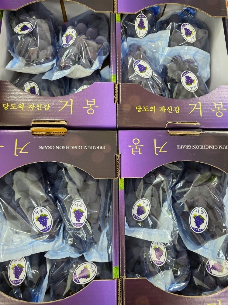 서린이네 picture 1