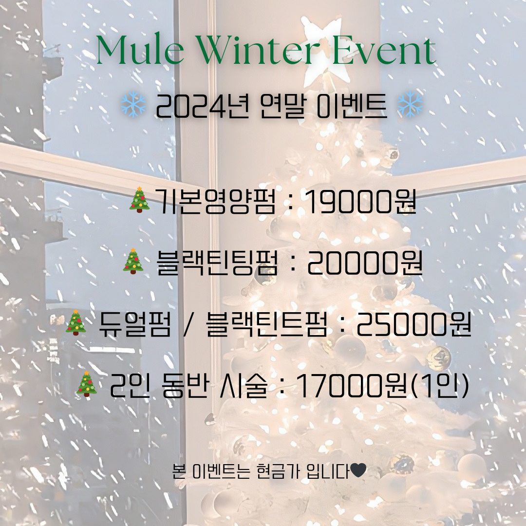 🎄12월 연말 속눈썹 이벤트(기본펌 19000원❄️)