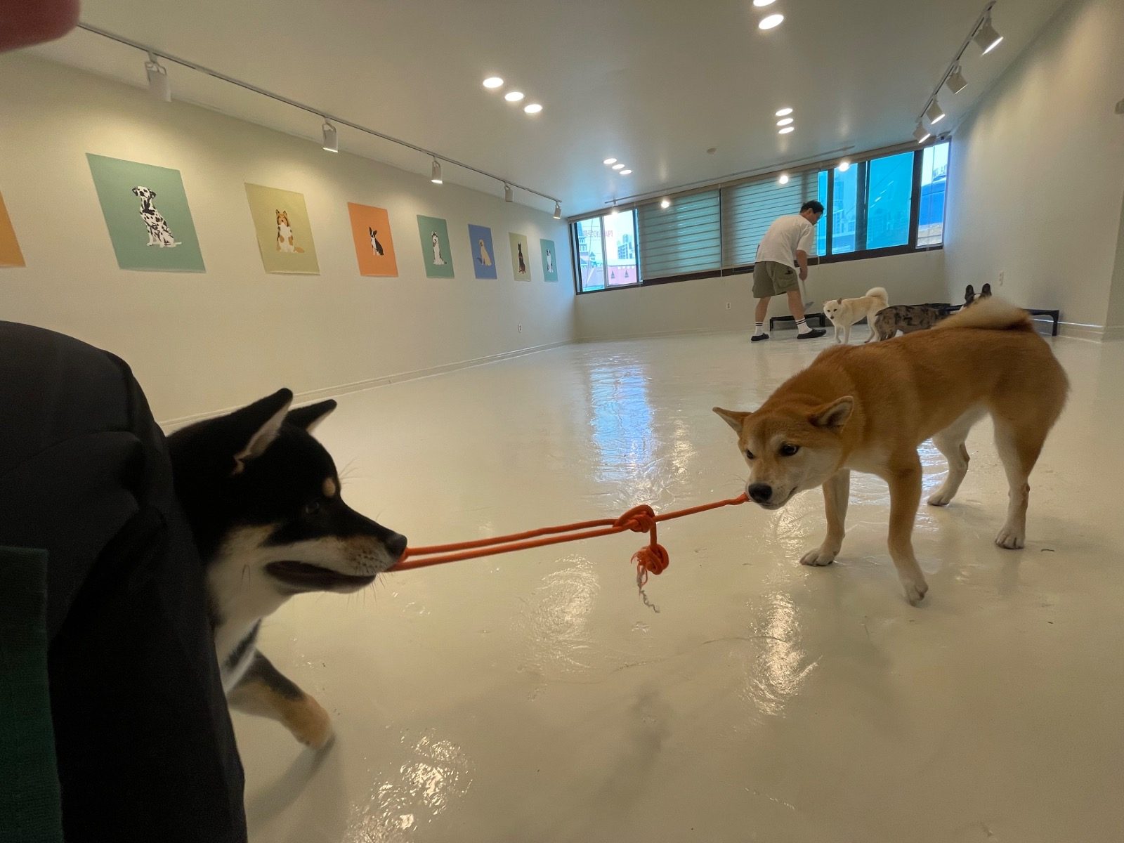 편안한 오후~