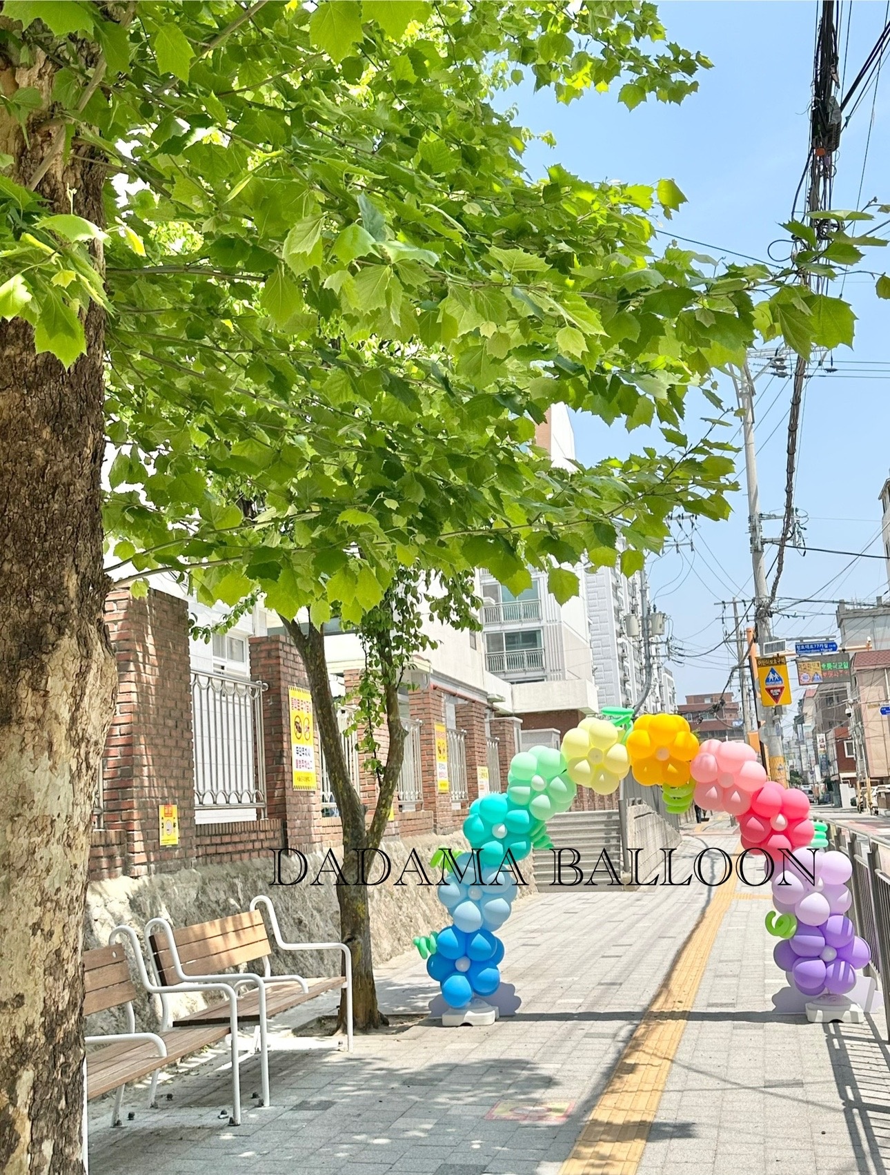 다담아벌룬풍선 picture 8