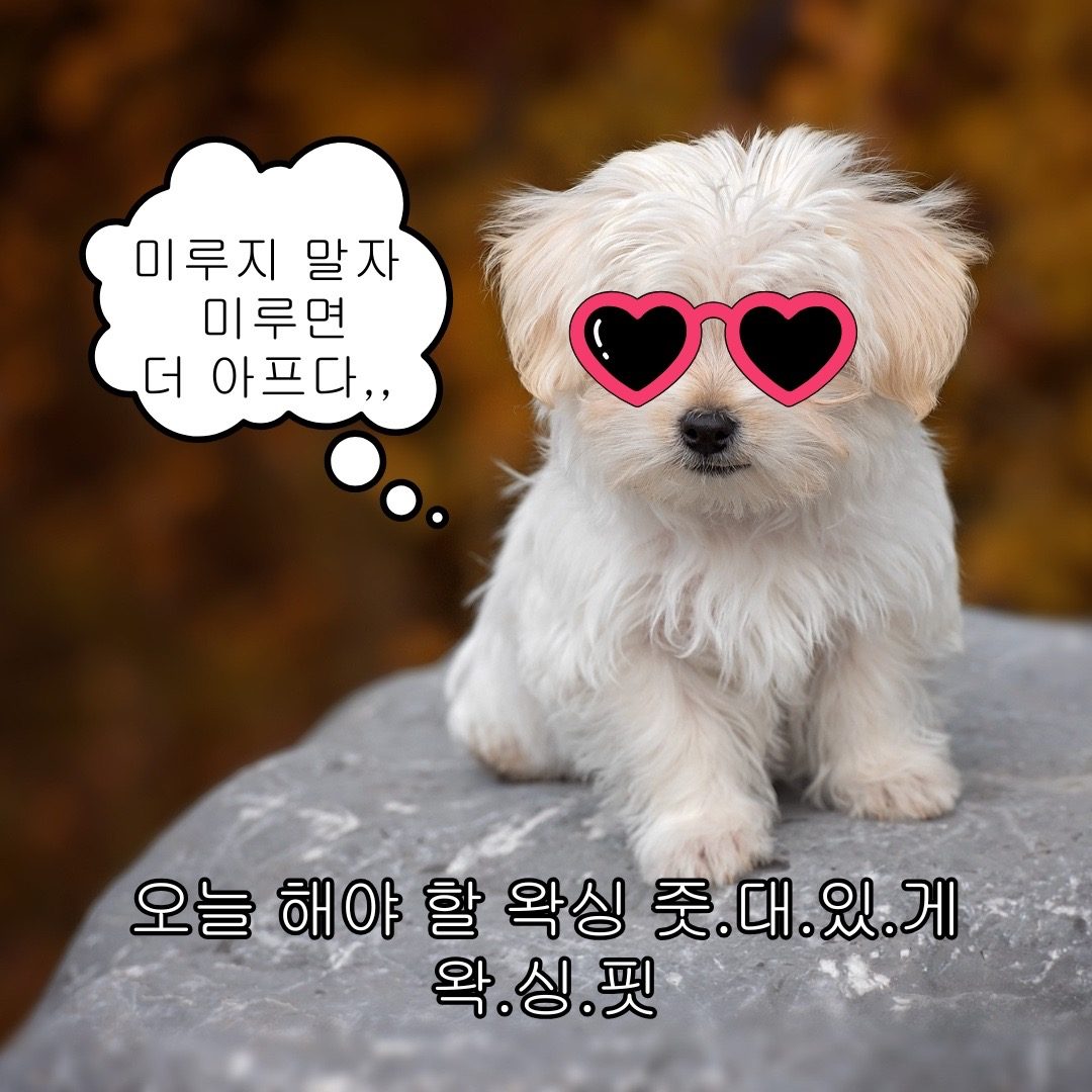 미루면 더 아플뿐,,