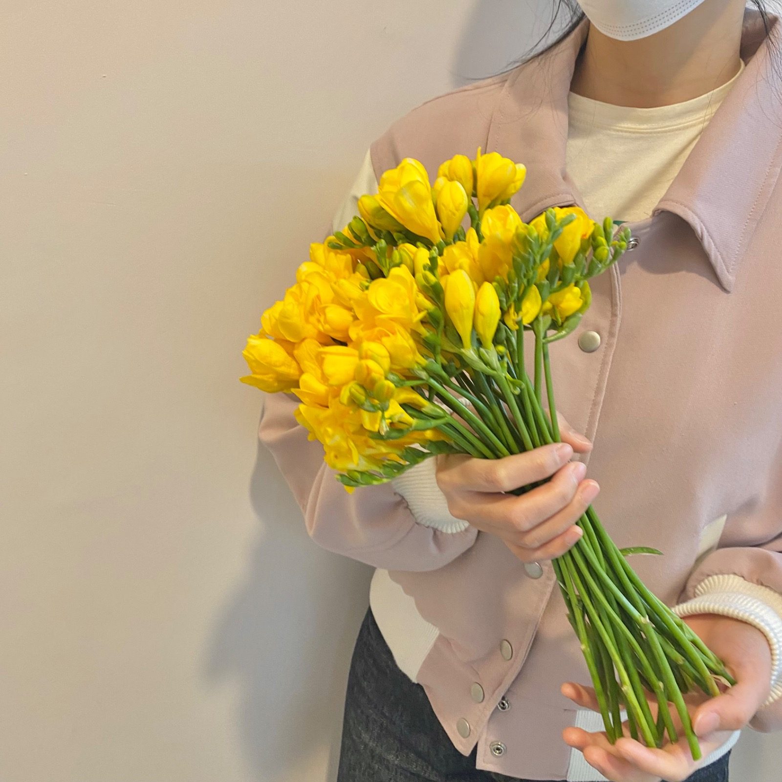 봄엔 프리지아, 선물용 인테리어용으로 최고 무료배송까지🎁🚀