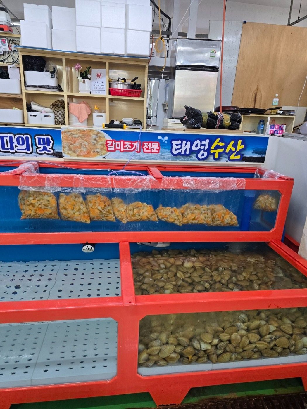 갈미조개 맛있게 먹는 법 & 손질법