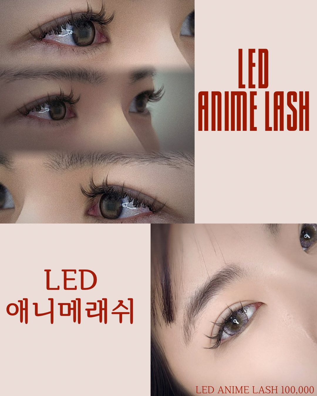 ‼️ 마감임박 ‼️LED Anime lash 20% 할인‼️