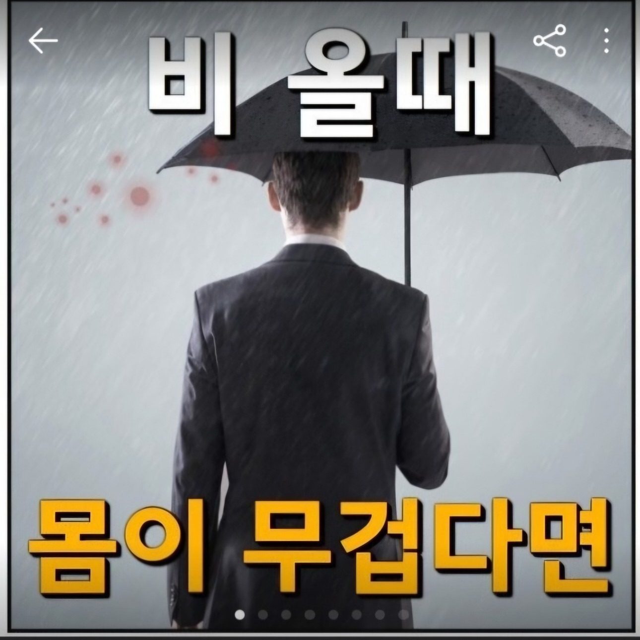 가을이라 몸이 무겁다~!!