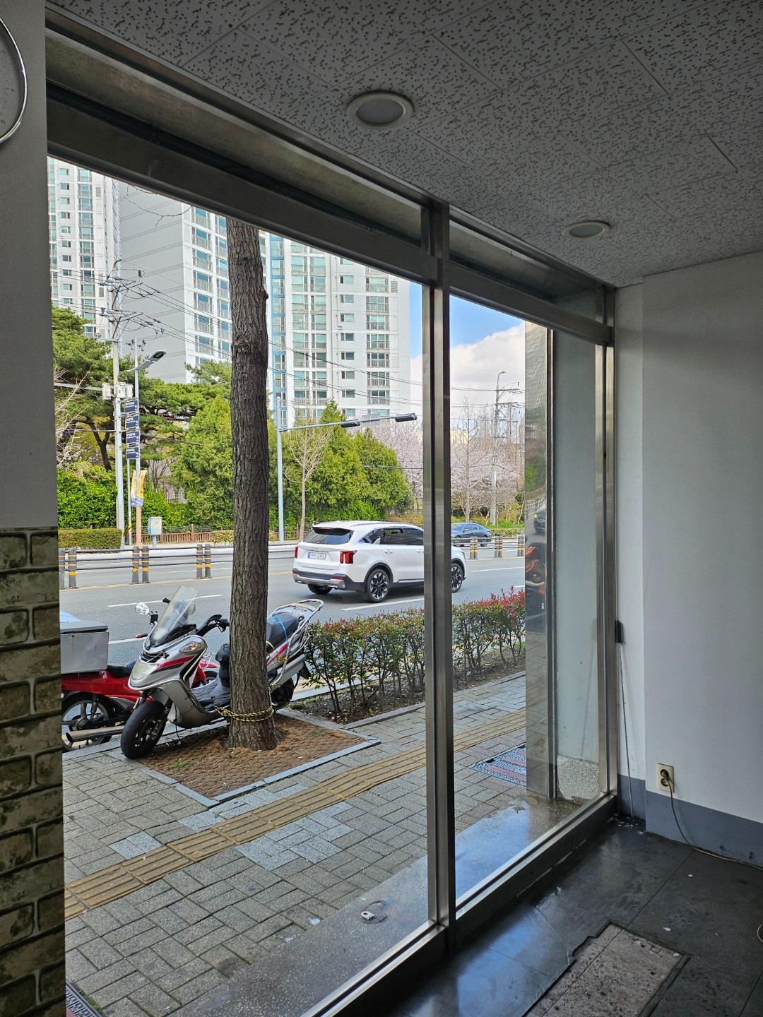 청소가예술 picture 7