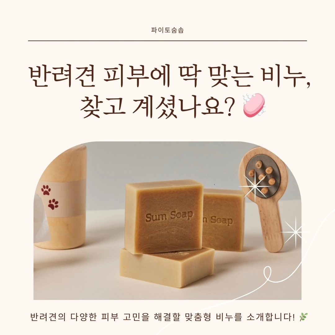 강아지 피부 고민 남겨주시면 샘플 드려요❤️