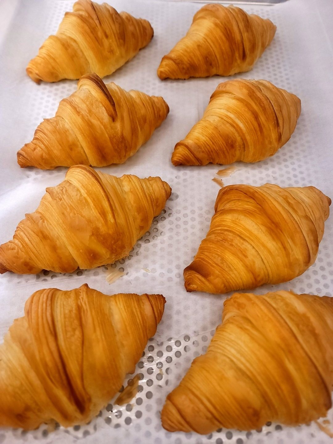 오리지널 플레인 크루아상 ♡