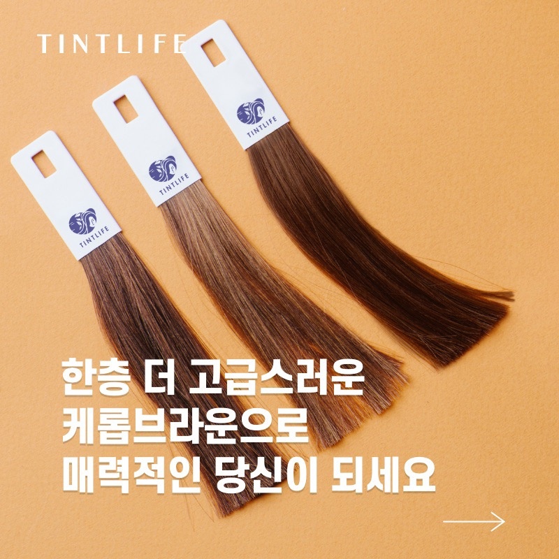 틴트라이프 picture 9