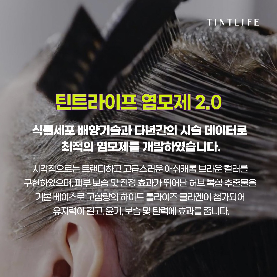 틴트라이프 picture 8