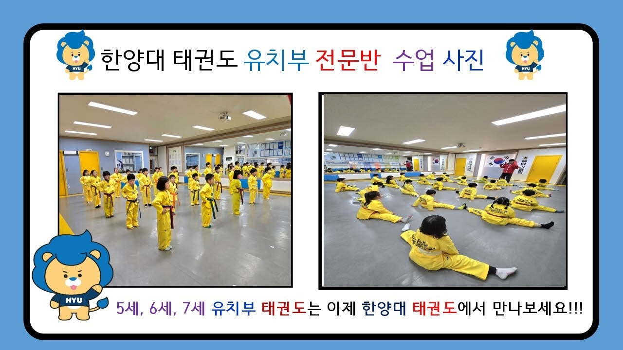 한양대태권도 picture 5