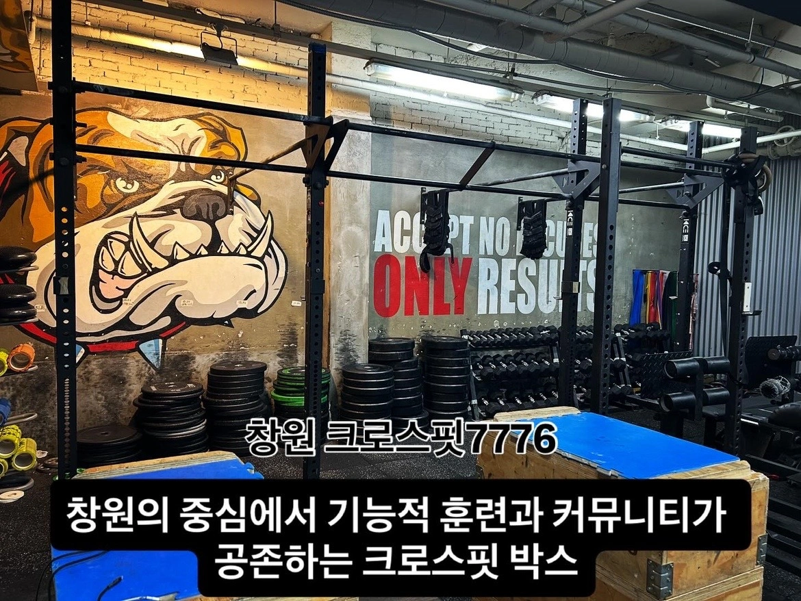 크로스핏7776 창원점 | 경상남도 창원시 성산구 용호동 | PT/GX수업 | 당근 동네 업체