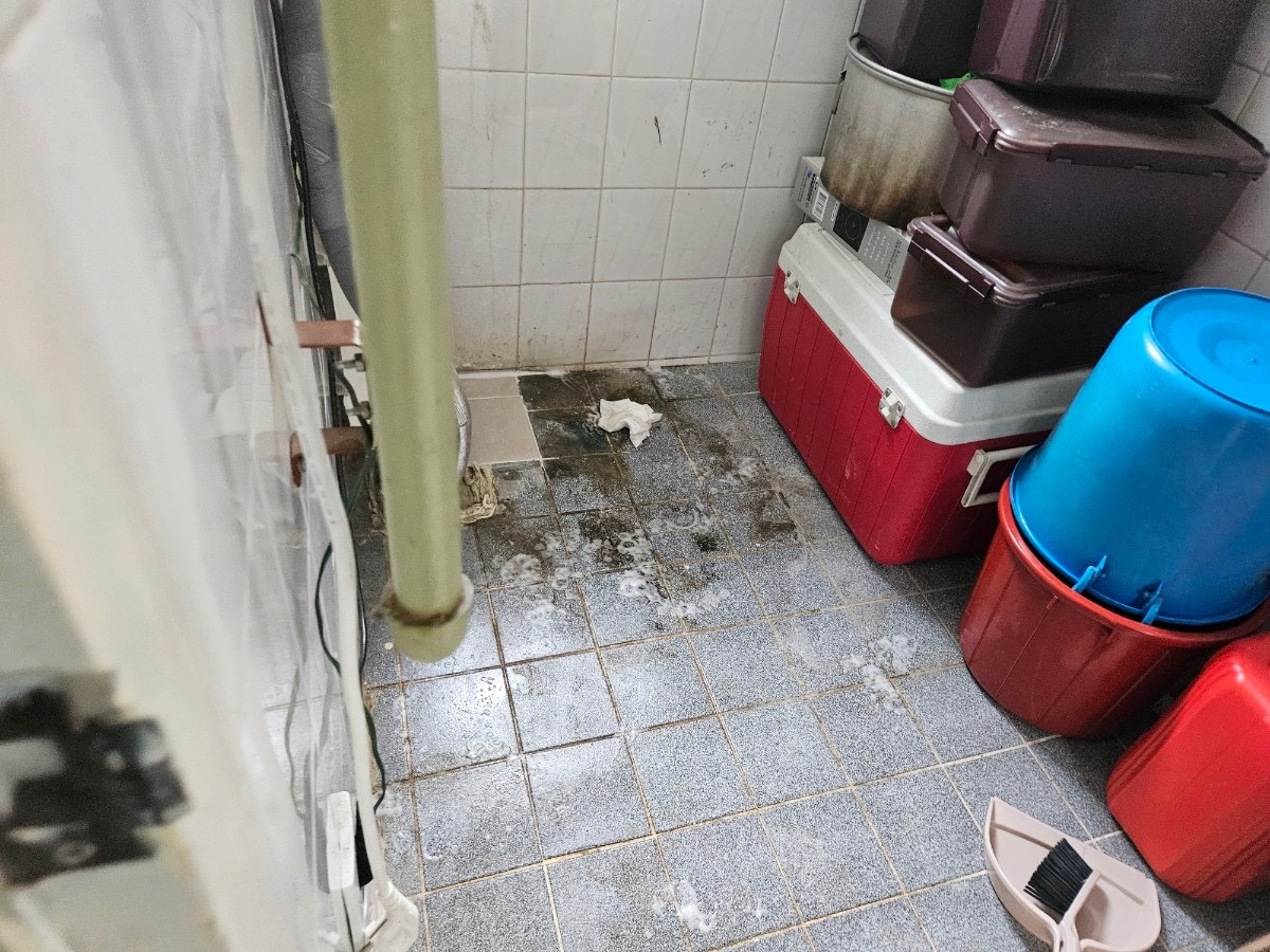 SU1HXzM4MTAuanBlZw==.jpeg?q=95&s=1440x1440&t=inside