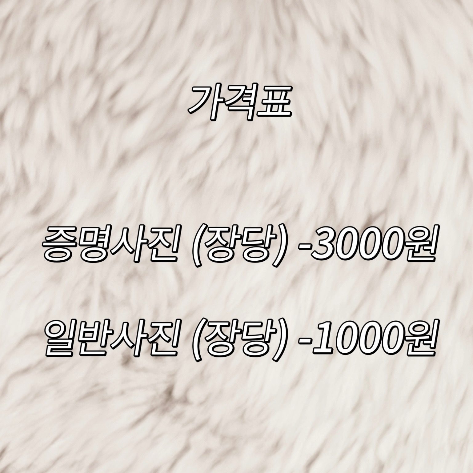 가격 안내