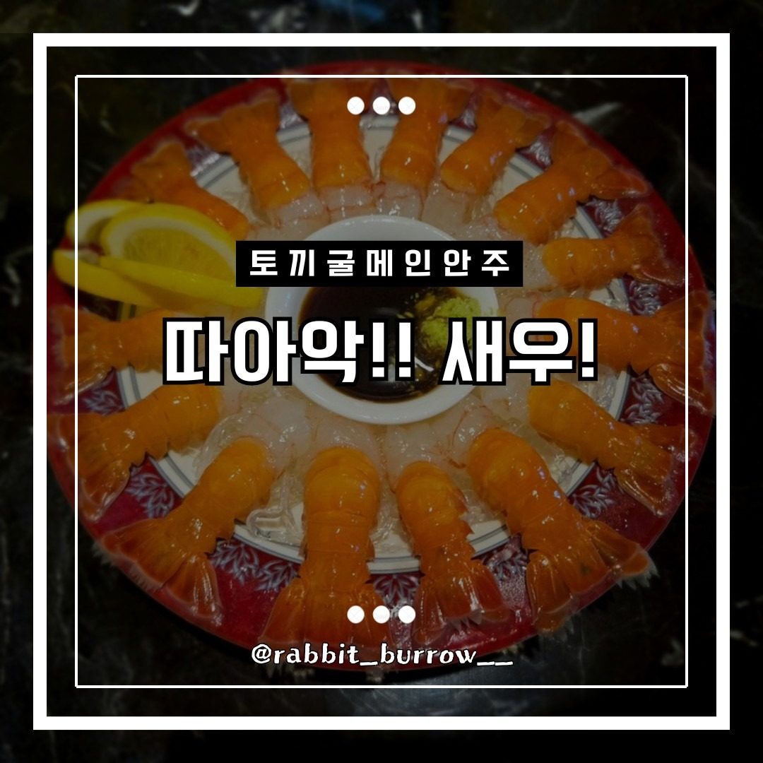 가성비 끝판왕 "토끼굴" 입니다.