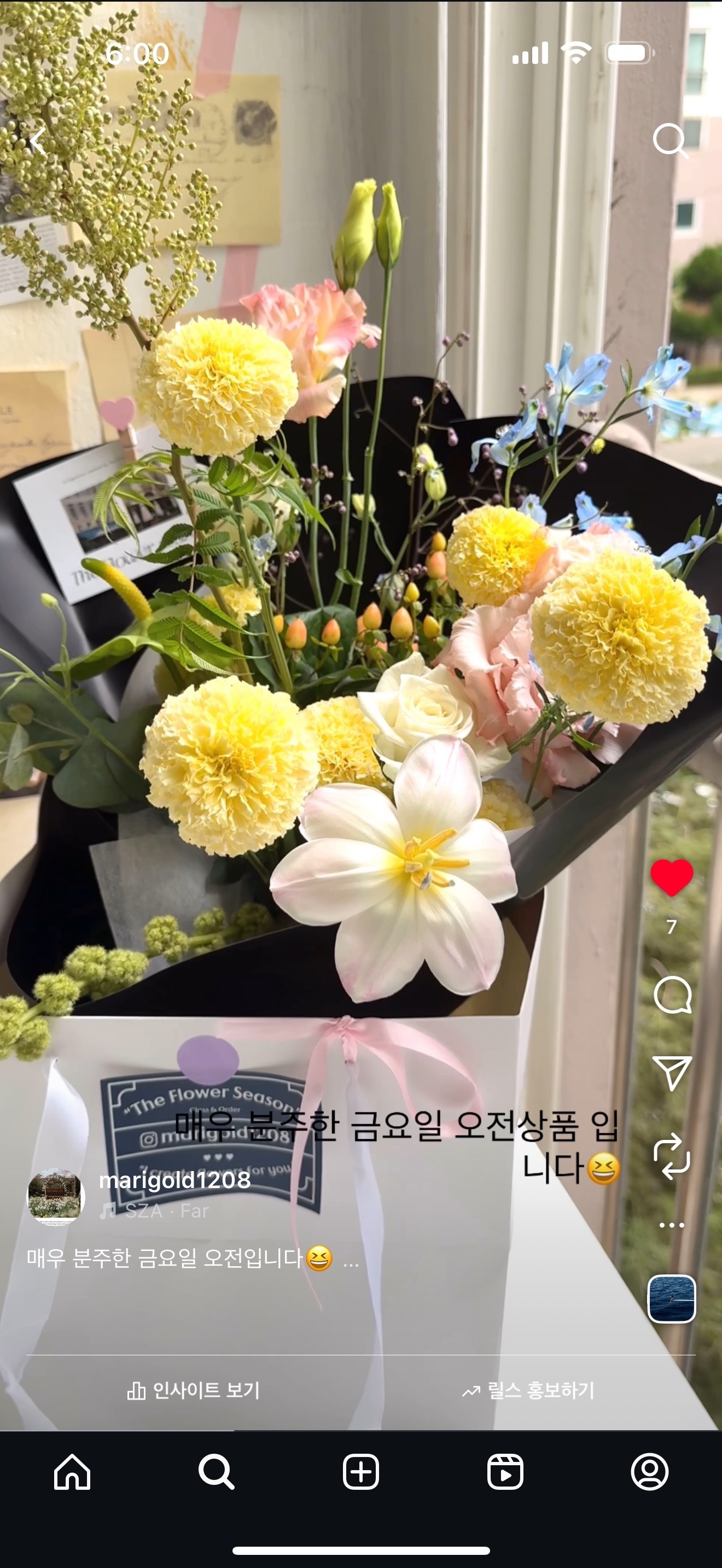 더 플라워 시즌 picture 1