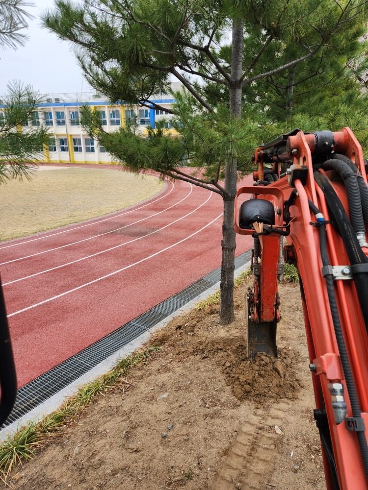 밀양중학교 수목이식작업(미니굴삭기)
