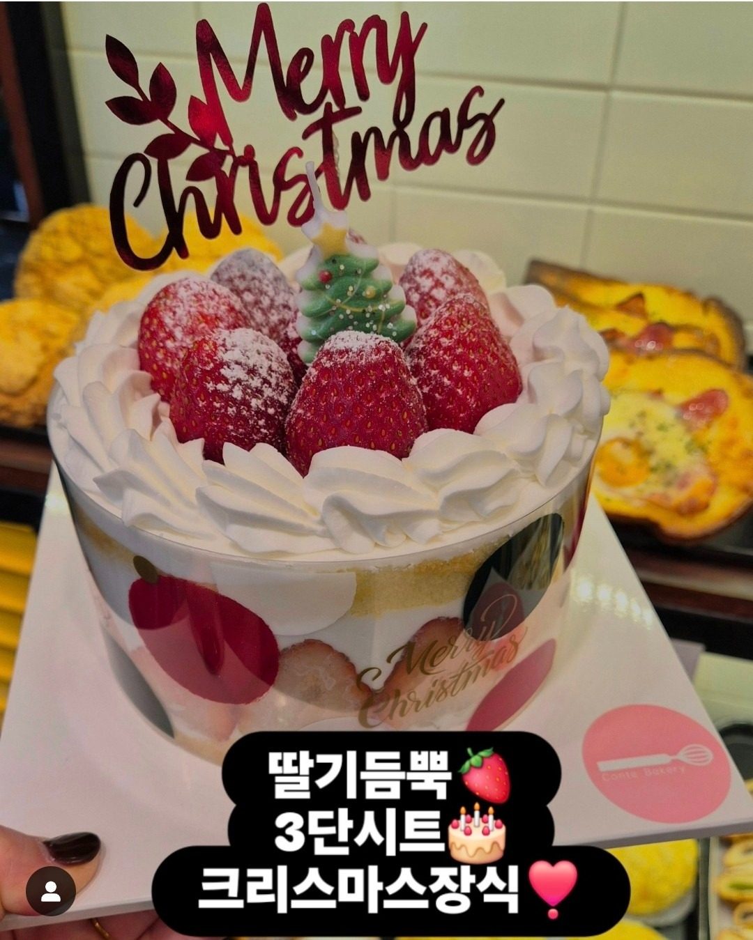 크리스마스케잌🎂🍓👍