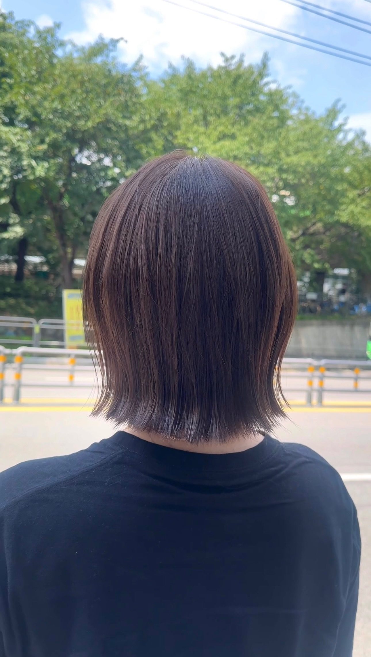 펌? 염색 추가금 없이 55,000원  해드려요