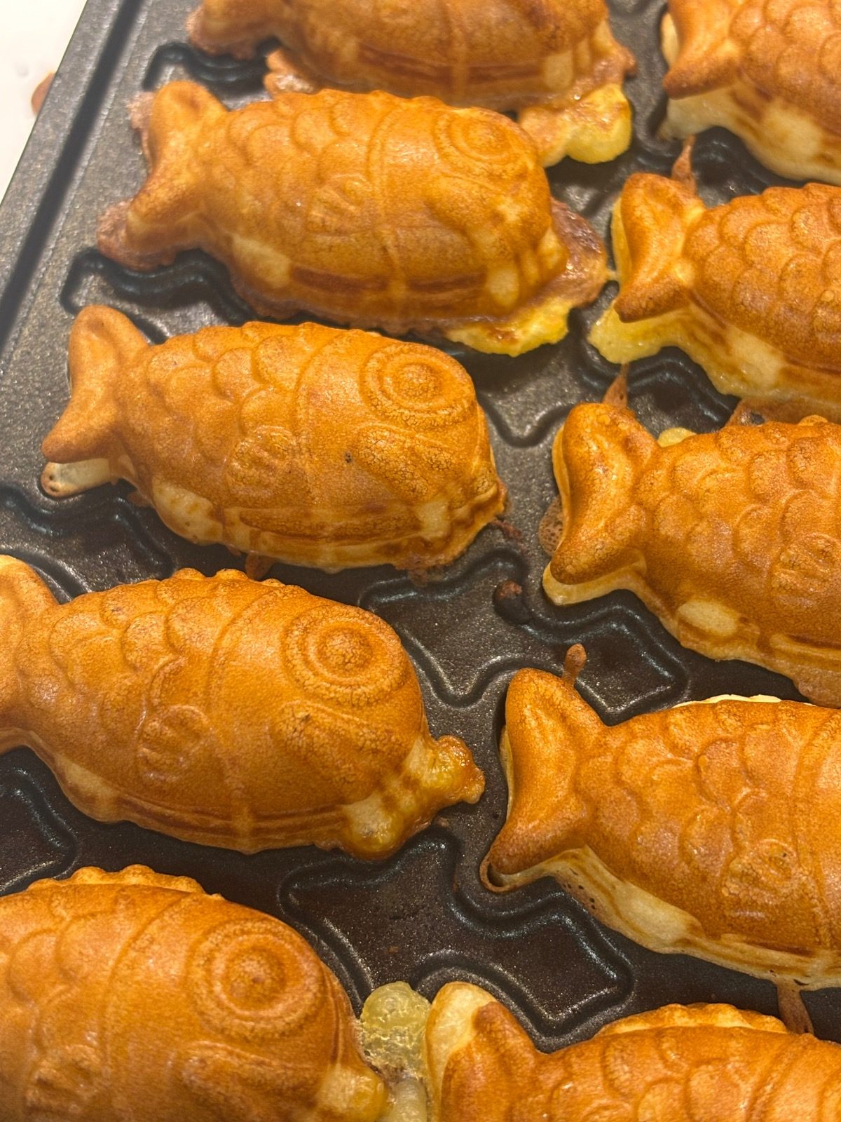 최고의 겨울간식! 따끈한 붕어빵 &찰옥수수 드셔보세요💛