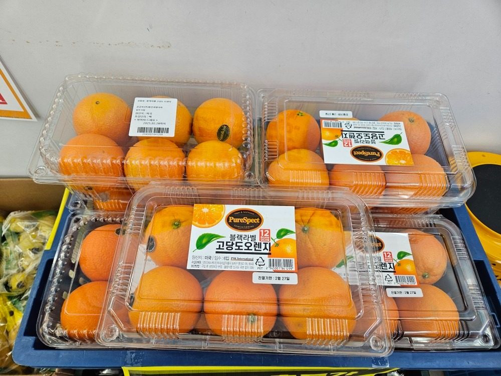 고당도오렌지