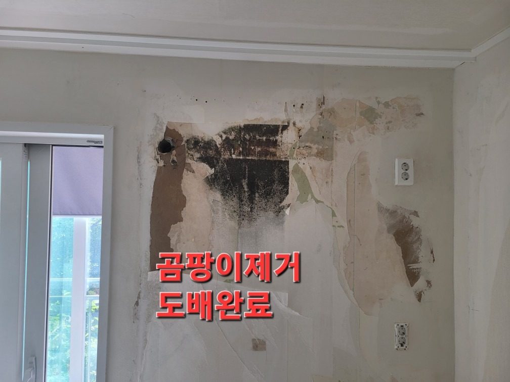 곰팡이제거 부분도배 전문