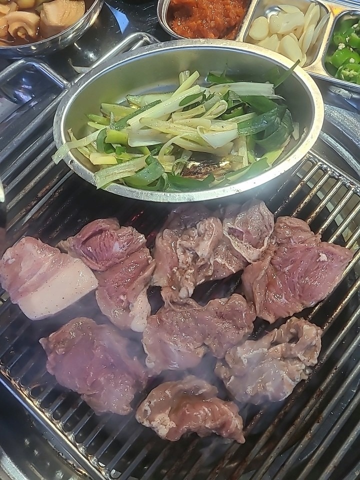 부속갈매기 picture 7