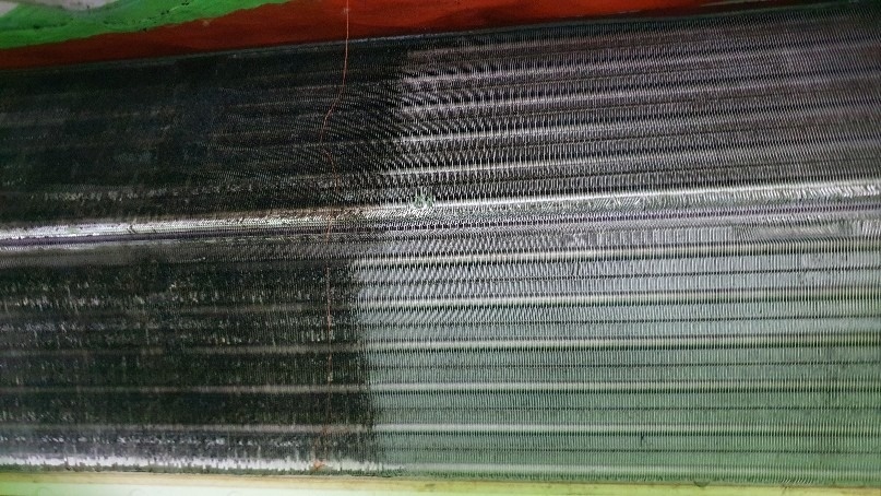 퓨어토탈케어 picture 9