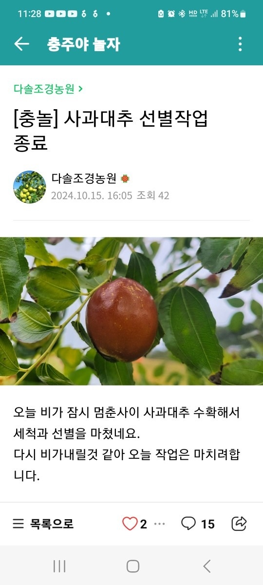 다솔조경농원 다육이 앤 솔 조경 picture 4