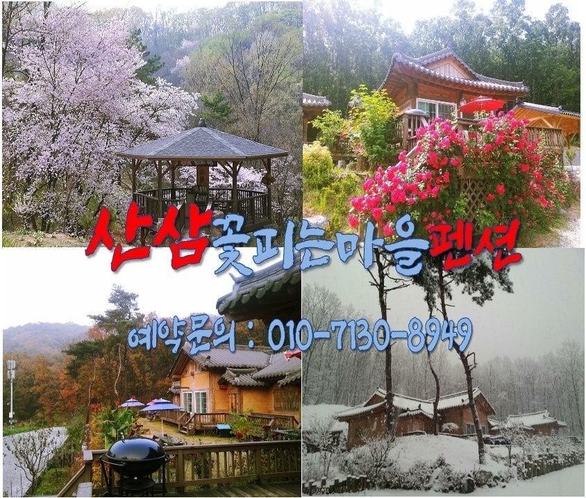 산삼꽃피는마을 picture 9