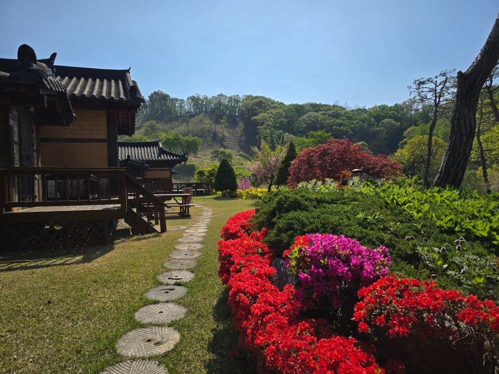 산삼꽃피는마을 picture 0
