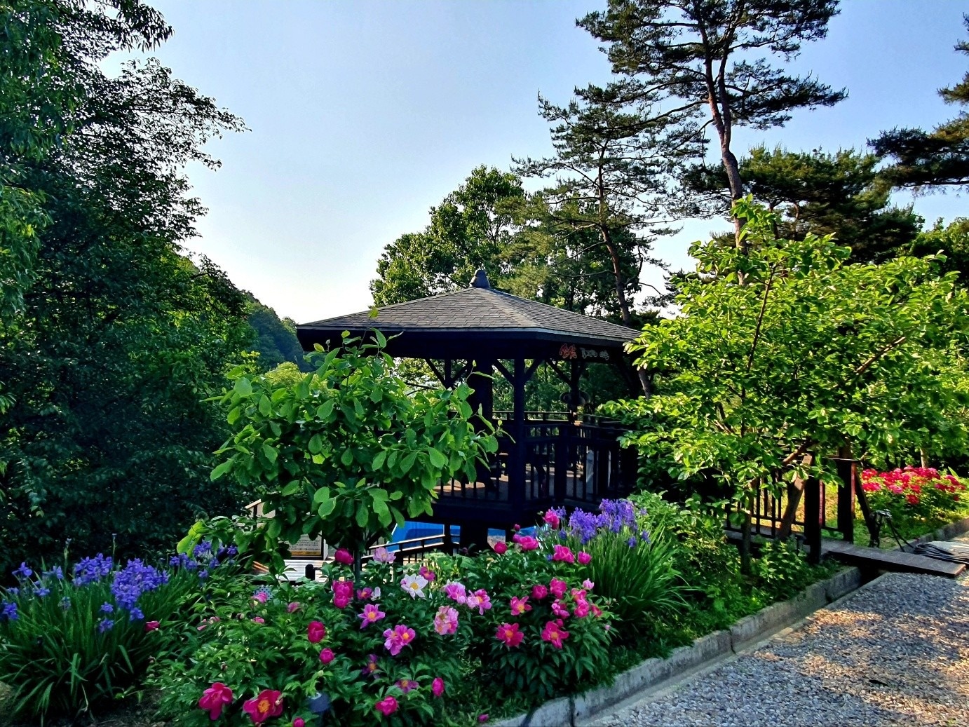 산삼꽃피는마을 picture 1