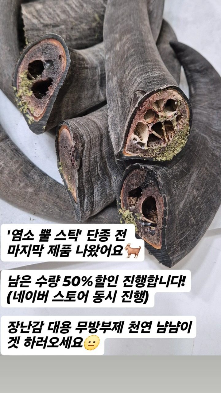 염소 뿔 스틱 단종 50% 할인