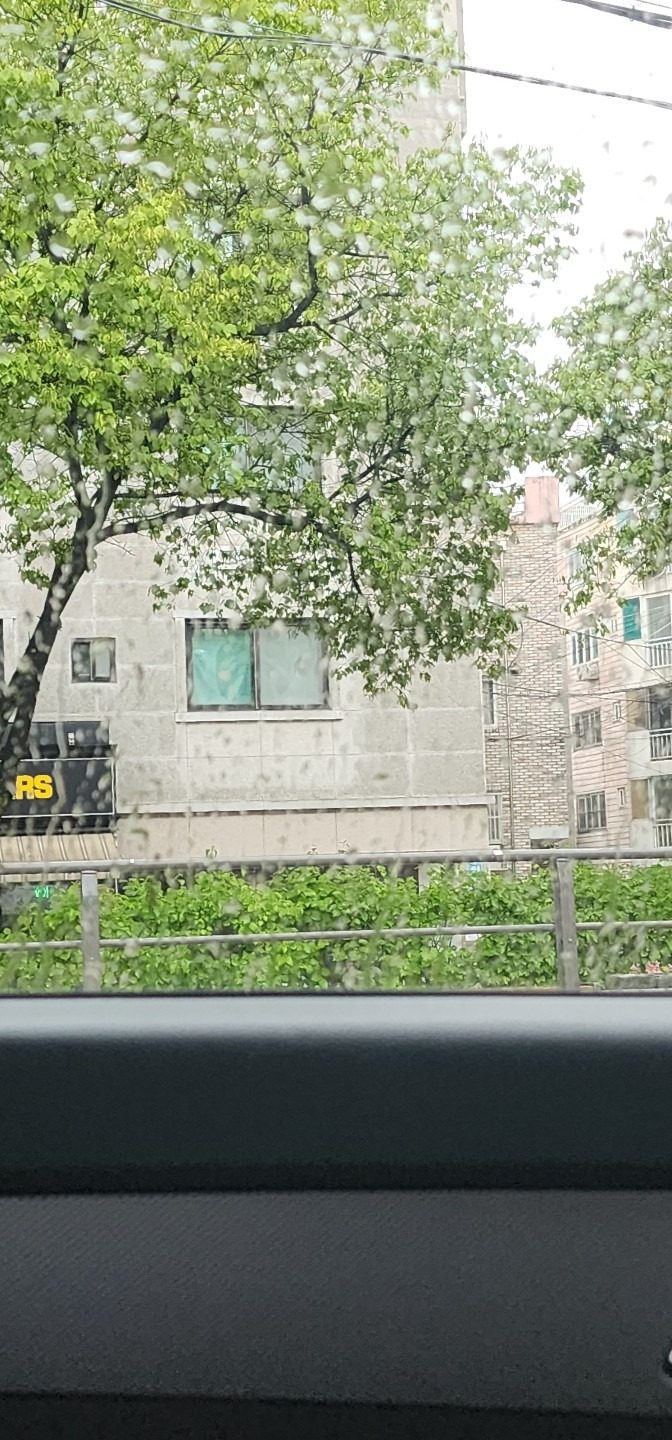 꺅~~~비 오는 날이에요~^^