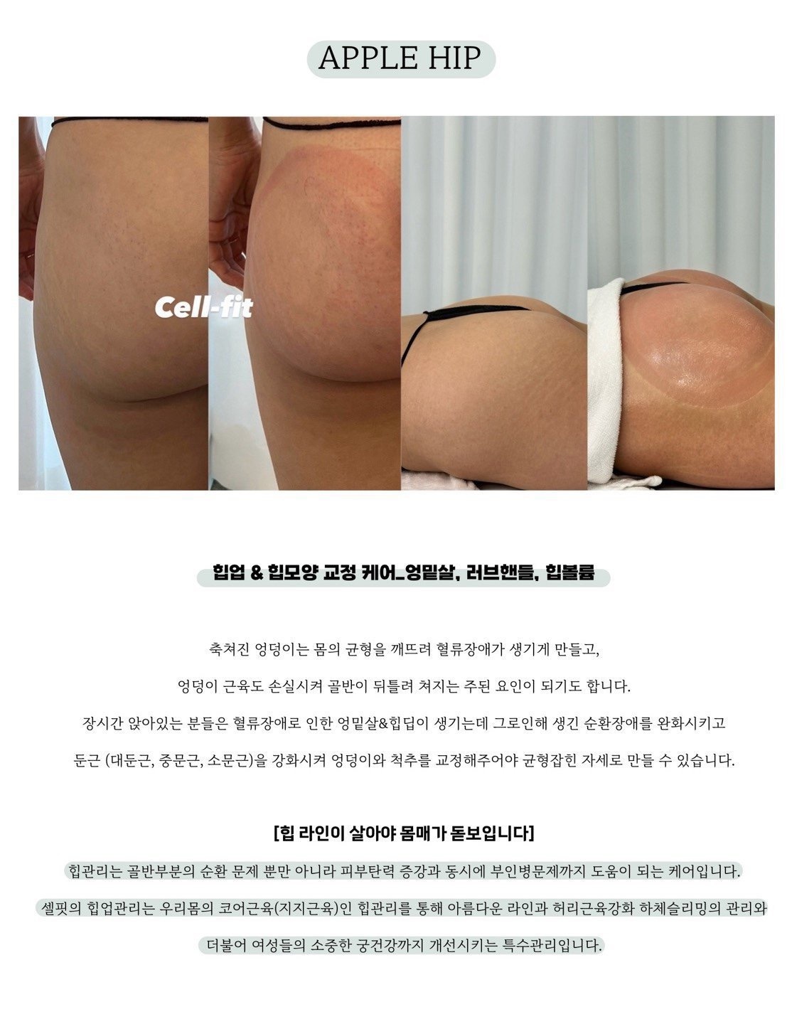 셀스테틱&셀핏 성수점 picture 1