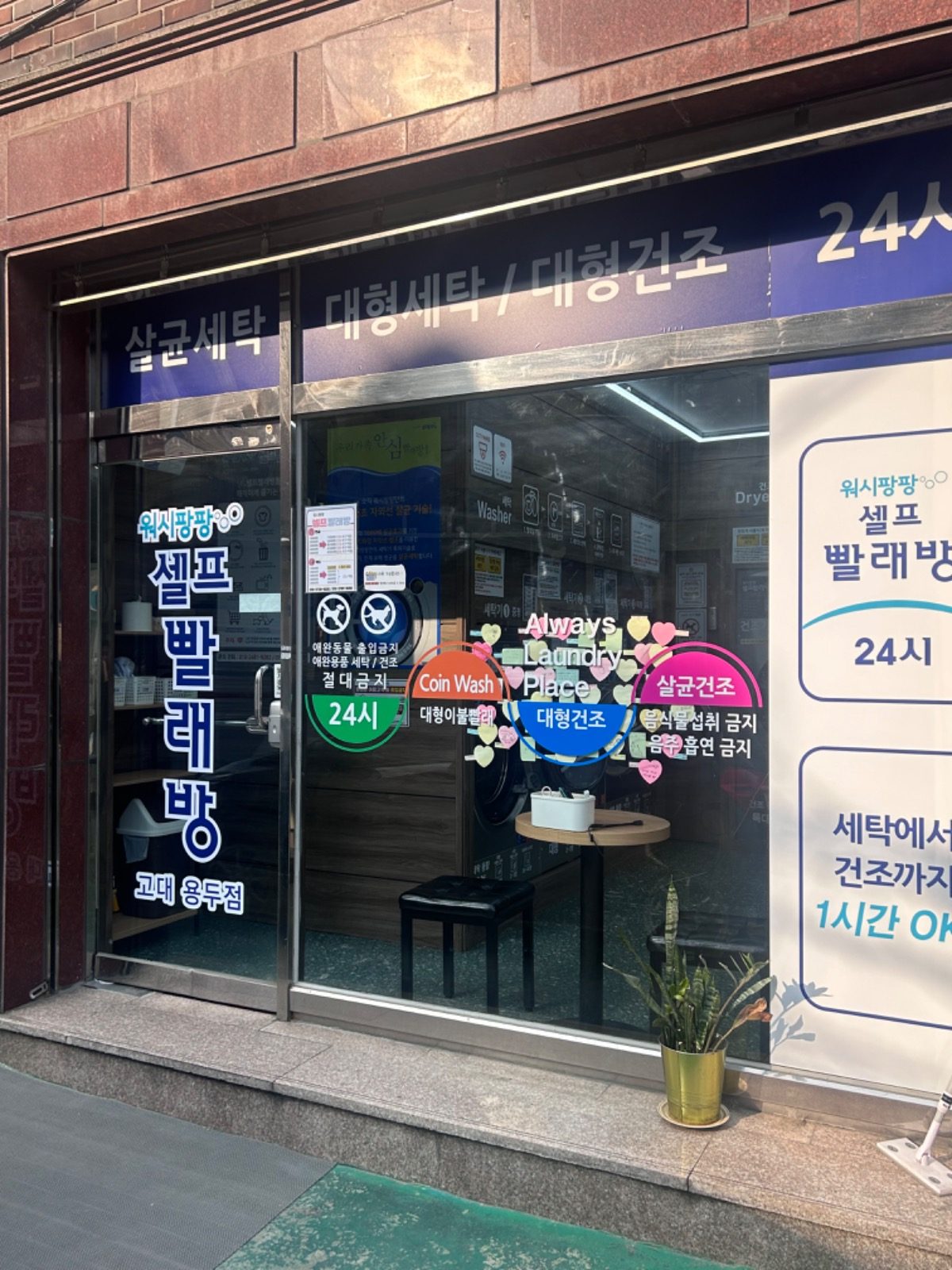 워시팡팡 고대 용두점